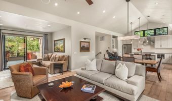 102 Wild Spring Ln, Basalt, CO 81621