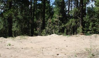 464 Collier View Rd Lot 91, Cascade, ID 83611