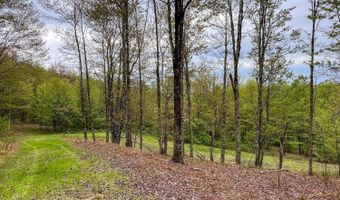 State Highway 28, Andes, NY 13731