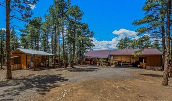 23251 Elk Trl, Aguilar, CO 81020