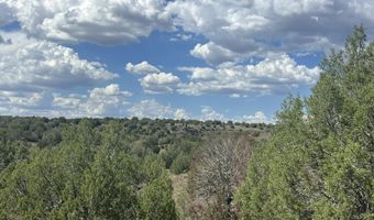 29 Of An Un Named Rd, Ash Fork, AZ 86320