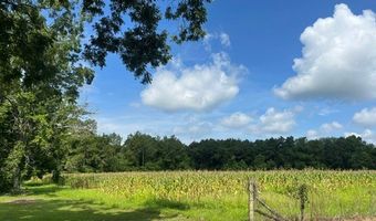 4180 McConnell Bridge Rd, Adel, GA 31620