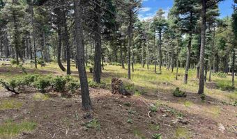 S Vail Overlook lot 310, Angel Fire, NM 87710