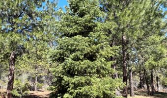 15254 N Kingfisher Dr, Bonanza, OR 97623