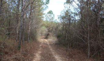 65 Collier Rd, Hickory Flat, MS 38633