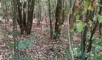 TOW BOAT Ln, Adamsville, TN 38310