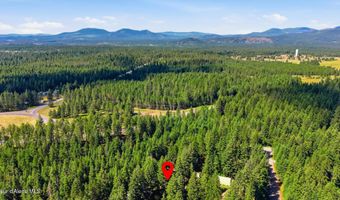 13118 E Hellroaring Rd, Athol, ID 83801
