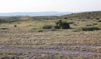 Tract 9 Sierra La Rana, Alpine, TX 79830