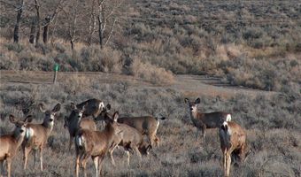 Takota Lane lot Bvr 930-25, Belfry, MT 59008