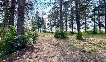 234788 EAU CLAIRE RIVER Rd, Aniwa, WI 54408