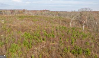 Apple Pie Ridge unit Tract Two Tract Two, Alto, GA 30510