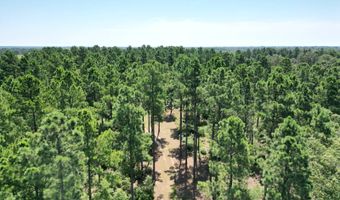 80 N4130 Rd, Antlers, OK 74523