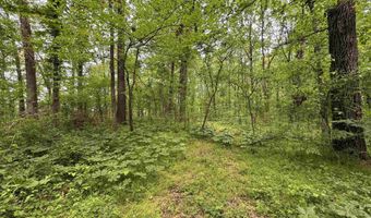 Tract 1 E Bay Road, Atkins, AR 72823