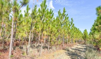 100 Doc Hunter Rd, Baxley, GA 31513