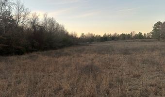 412110 E 1900 Rd, Antlers, OK 74523