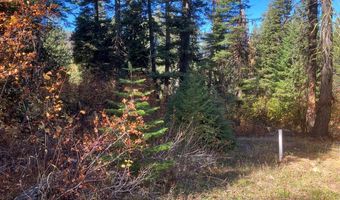 541 W Mountain Rd Lot 58, Cascade, ID 83611