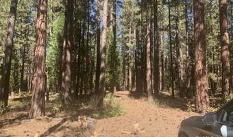 Edgewater Way lot 84, Adin, CA 96006