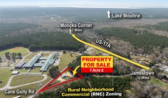 1042 Bethera Rd, Bonneau, SC 29431