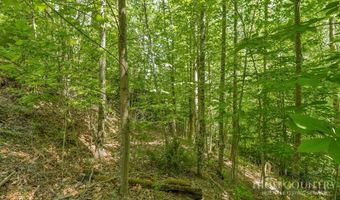 Daisy Ridge Road lot 36, Banner Elk, NC 28604