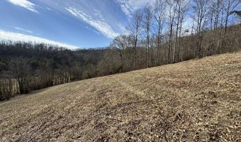 1135 Ned Clark Rd, Bean Station, TN 37708