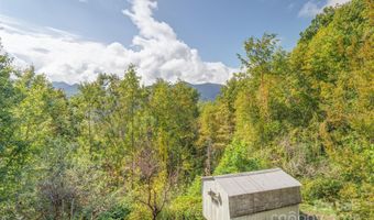 40 Craggy View Ln, Barnardsville, NC 28709
