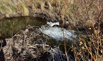 TBD X4 Road, Bedrock, CO 81411