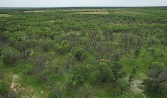 FM 600, Anson, TX 79501