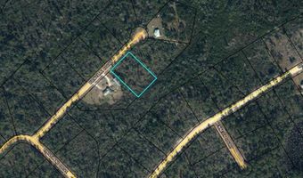 0 Bienville Ct Lot 2, Alford, FL 32420