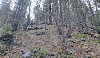1077 Roland Dr Lot 3, Bailey, CO 80421