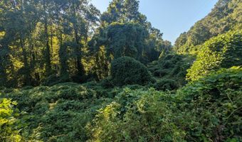 0 KY-225, Artemus, KY 40903