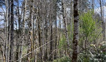 Northrup Creek Rd, Birkenfeld, OR 97016