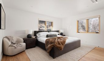 120 Turtle Cv, Aspen, CO 81611