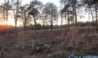 13 Hogs Ln, Albertville, AL 35951