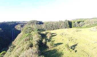 KAIWIKI HOMESTEAD RD, Hakalau, HI 96710