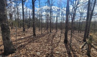 Hickory Flats Road, Ava, MO 65608