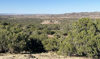 006 N8604, Concho, AZ 85924