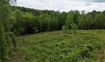 6020 Eaglewood Ln, Birchwood, TN 37308