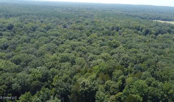2 Champion Hill Rd, Bolton, MS 39041