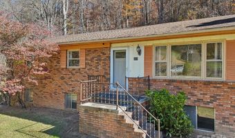 480 Paint Fork Rd, Barnardsville, NC 28709