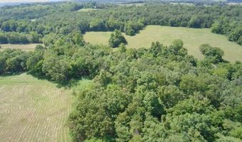 14442 State Highway Af, Ava, MO 65608