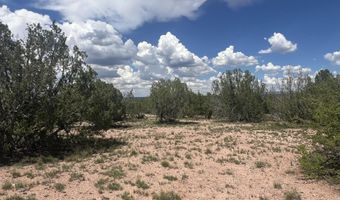 62 Cone Ln, Ash Fork, AZ 86320