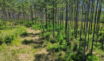 0 Orem Rd, Bay Minette, AL 36507