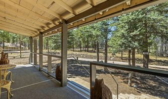 18 County Rd 2120, Alpine, AZ 85920
