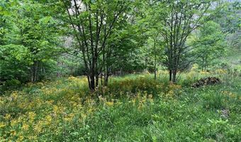 Tbd Old Hartley Road, Banner Elk, NC 28604