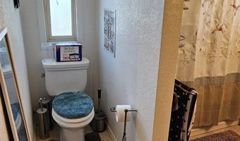 8 Buckhorn Ct, Austin, NV 89310