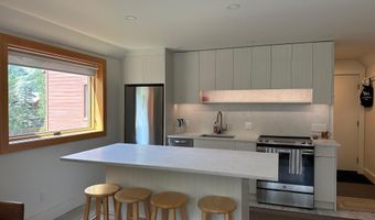 1136 Vine St 1136, Aspen, CO 81611