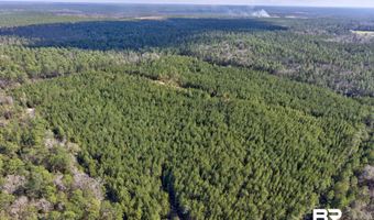 Jones Lane, Bay Minette, AL 36507