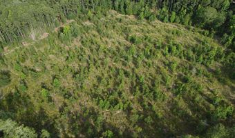 Goldenrod Drive, Barnwell, SC 29812