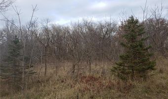 Lot 2 & 3 County Road M / 202nd St, Alden, WI 54026