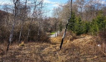 Quigg Hollow Road, Andover, NY 14806
